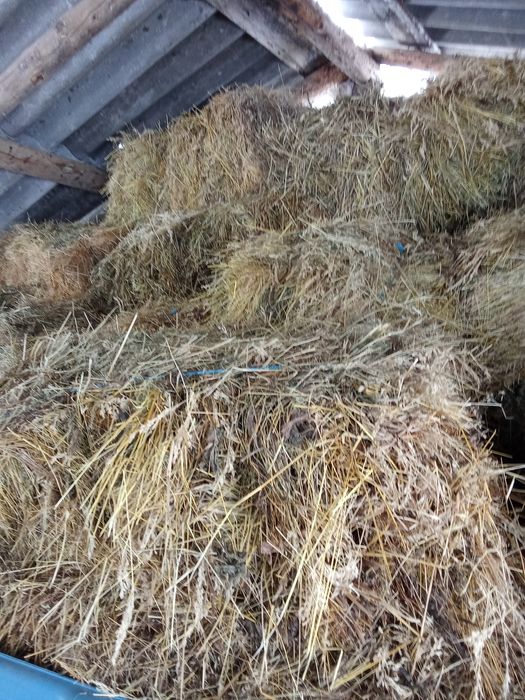 Vând baloți de fan