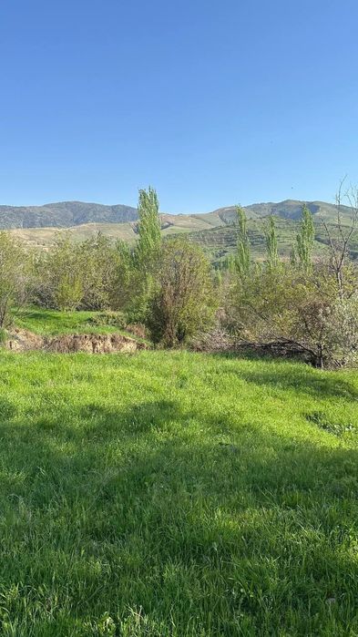 Участок земля 13,5 соток Паркент, Невич ер сотилади