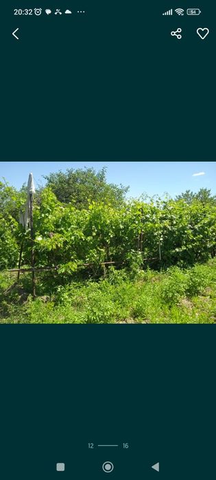 Дача продажа или обмен на квартиру.