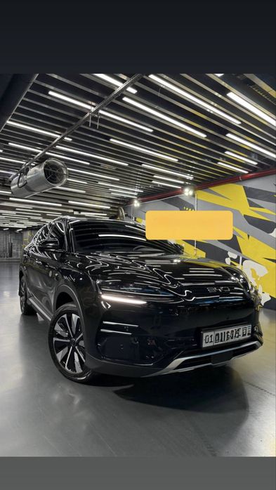 Byd chempion SMART  2025