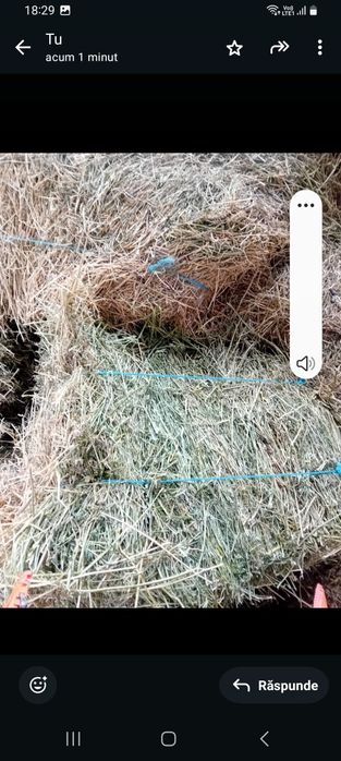 Baloți de lucernă 20 Lei