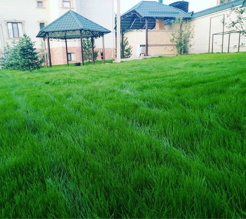 Газон автополив лантшафтный дизайн