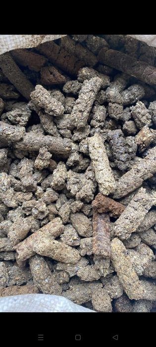 Сафлоровый Жмых Шымкет