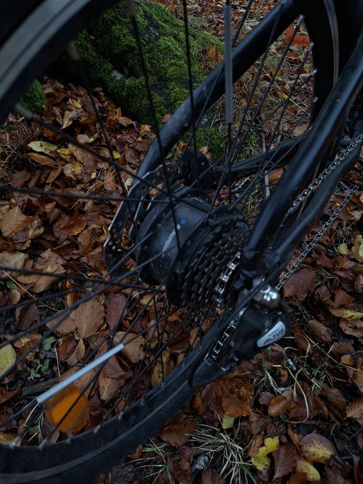 bicicleta Blaunpunkt Prophete 51721