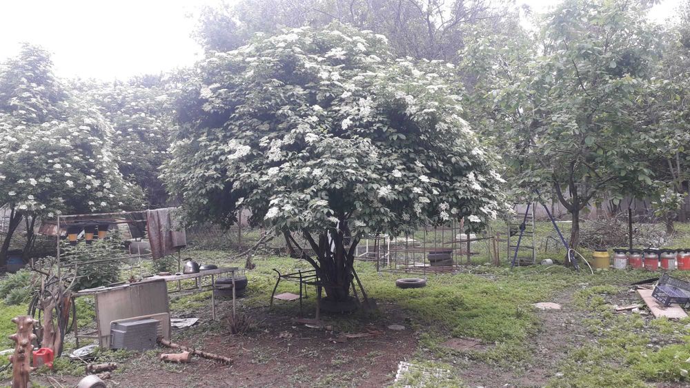 участок в Верхней Каменке, Алматы, выше санатория Алатау