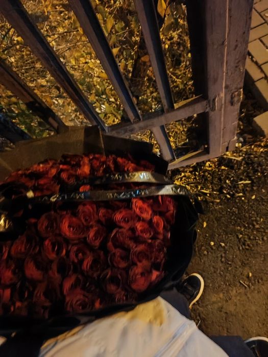 101 роза красный