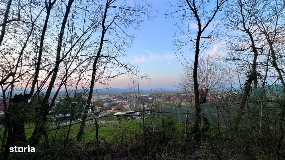 Teren Intravilan 495 mp – Zonă Liniștită - Strada Livezii