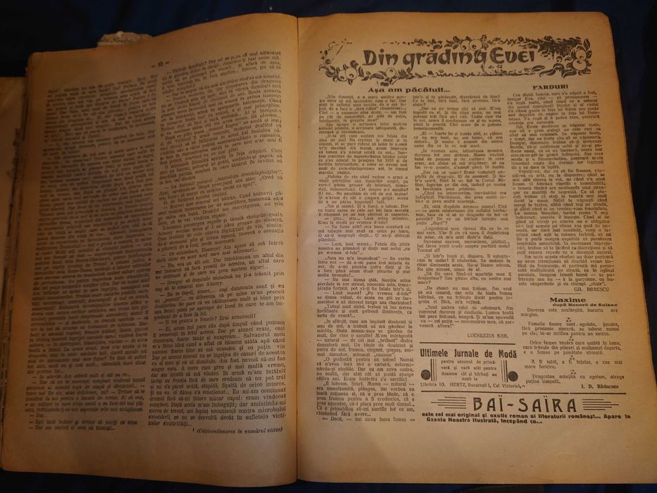 Revista Gazeta Noastră Ilustrată, 45 de numere din 1929