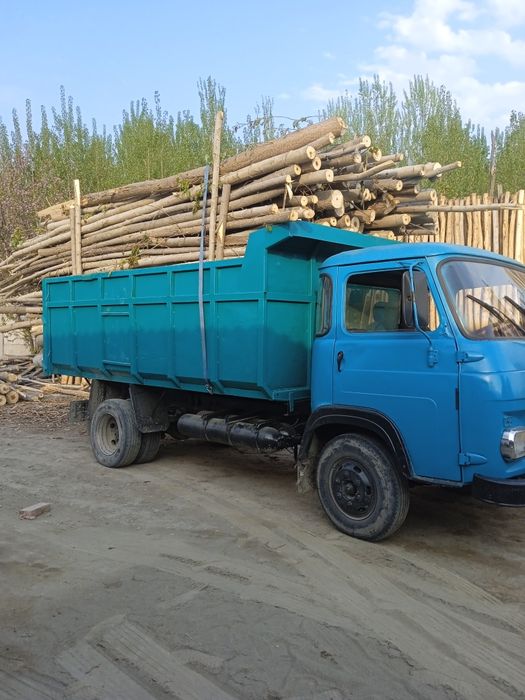 Avia xamma joyi soʻz xolatda