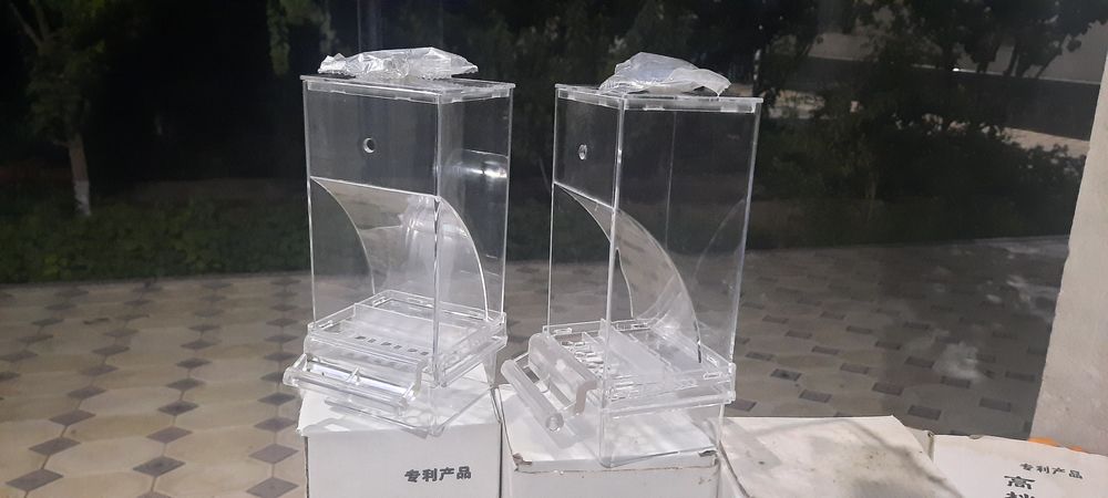 Декоративные птицы