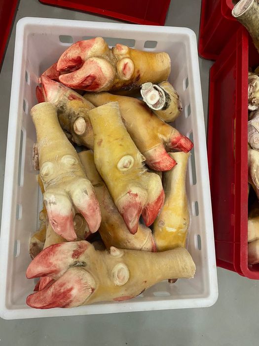 Копыта на холодец очищенные