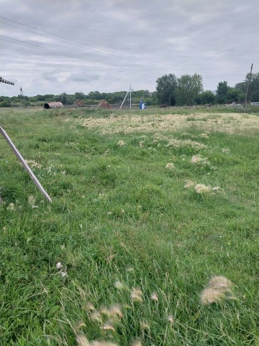 Земля в аренду  под теплицу