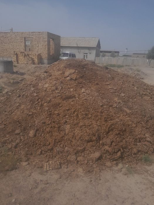 Мол куй нуриси сотлади