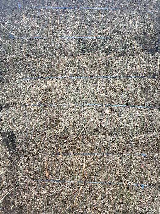 Baloti lucerna calitate foarte buna cu transport la domiciliu!