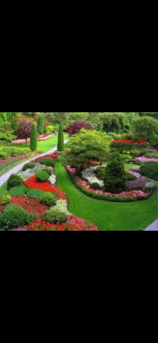 Întreținere spații verzi