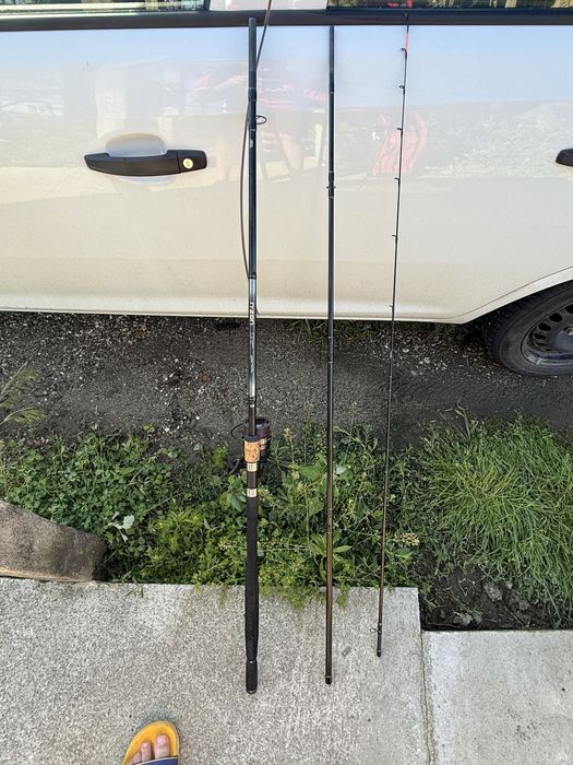 Set Daiwa N’Zoon super slim power carp 3.66/240g