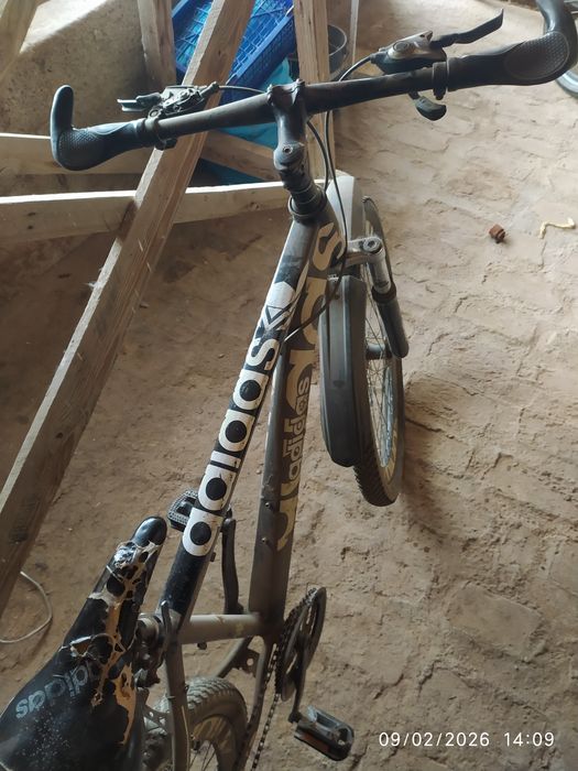 Velosiped holati oʻrtacha yuradi