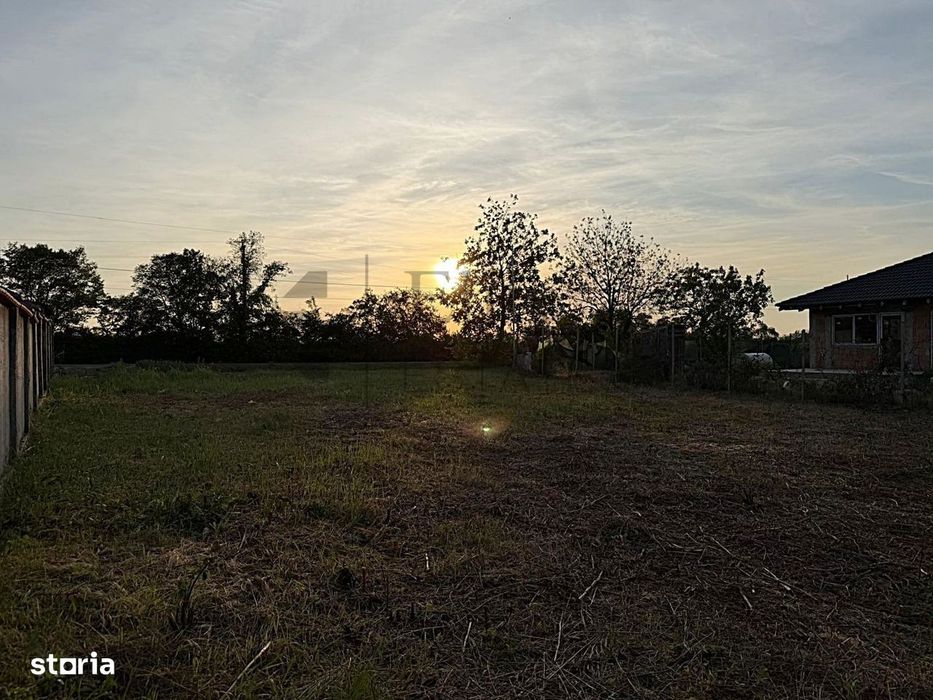 Teren 600 mp de vanzare in Paleu | Str. Principala