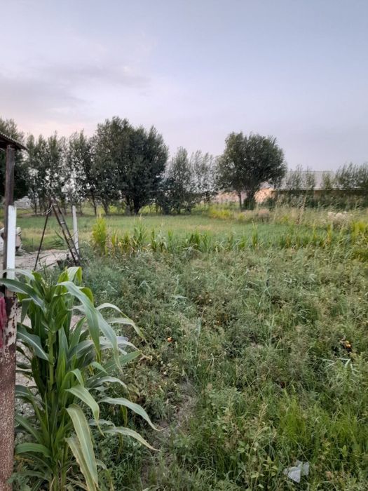 Ховли уй Тошкент махаллада 15 сотх