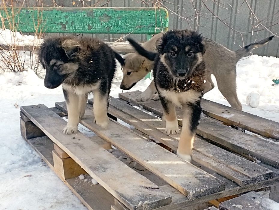 Только ответственным людям
