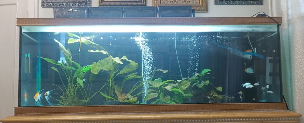 Продам аквариум большой