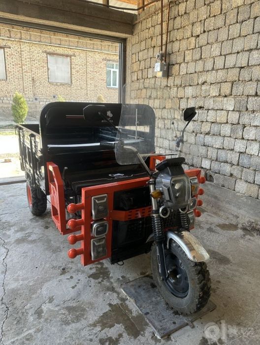 Muravey pashte yangi