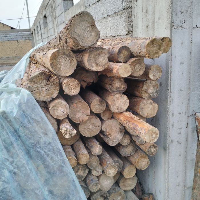 кругляк бар сатылады