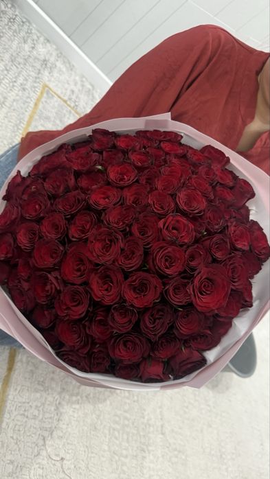 голландские 101 роза