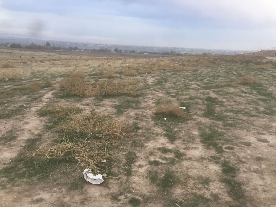 Сарагач кашарда Жер сатыдад