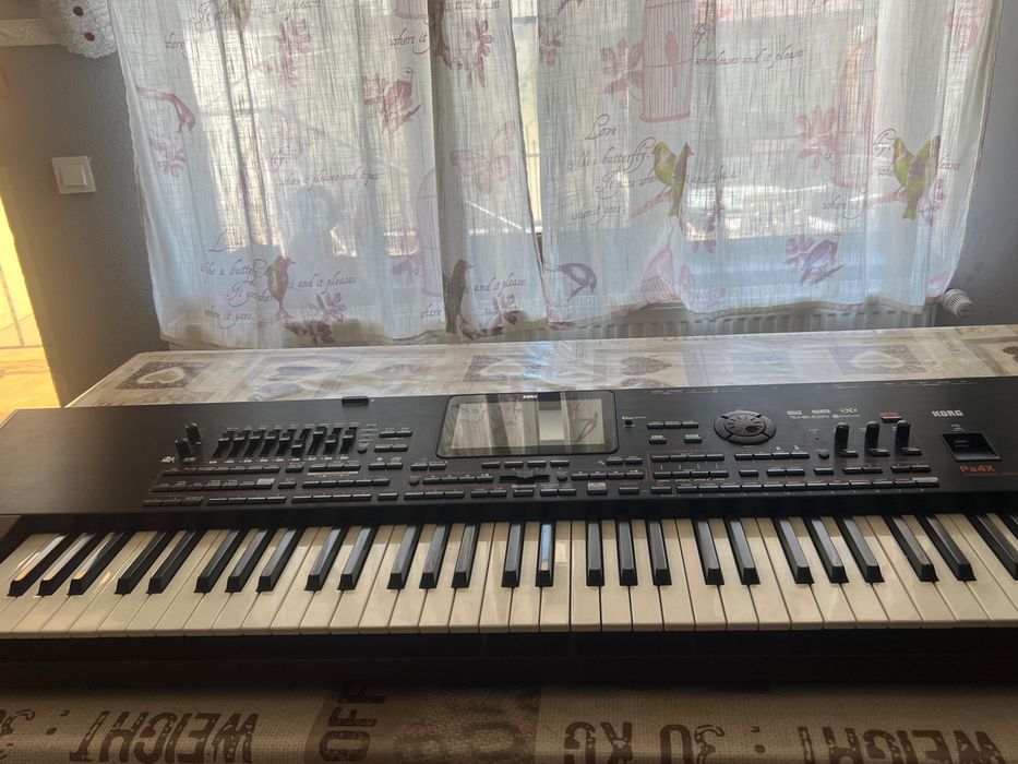 Vand Korg PA 4X International