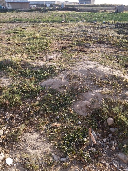 Samarqand Viloyat uy joy telefon qilsalariz gaplashamiz