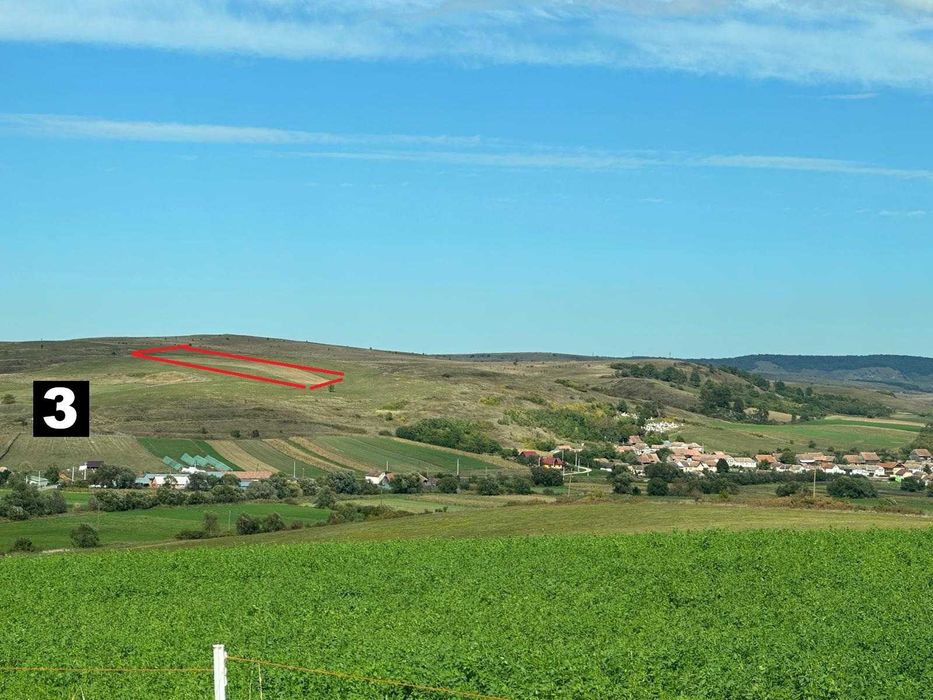 Vand 3 terenuri in Lovnic (sat sasesc, langa Viscri), jud Brasov = 11700mp  4Euro/mp