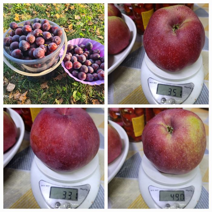 Продам дачный участок