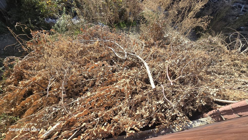 Отдам даром дрова