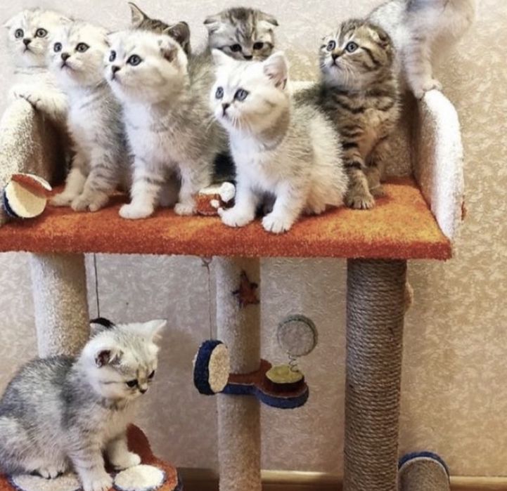 Шикарнейшие Детки