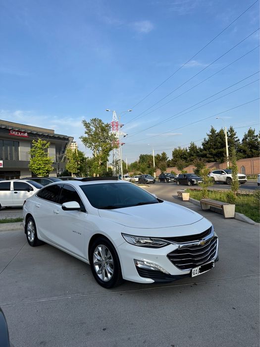 Malibu primer 2021 yil