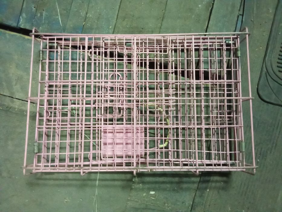 Аксессуары для животных