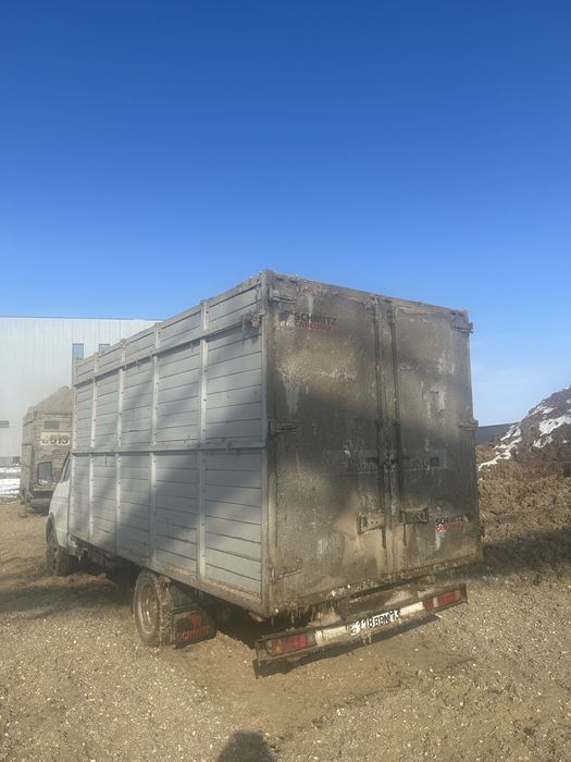 Қауашақ ,бар,Қошқар,Өгіз,бордақы малдарға