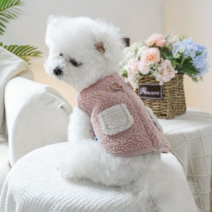 Дрехи, аксесоари и играчки за кучета