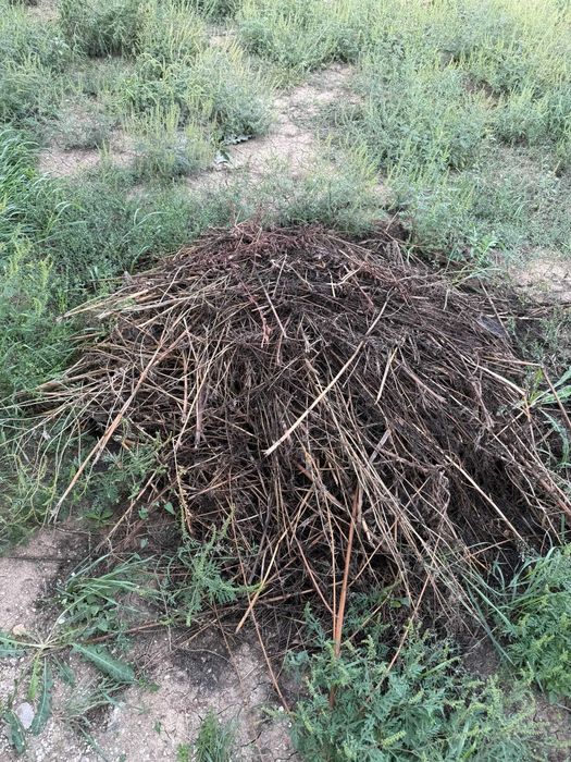 curatenie apartamente , Debarasări apartamente și case , moloz , moluz