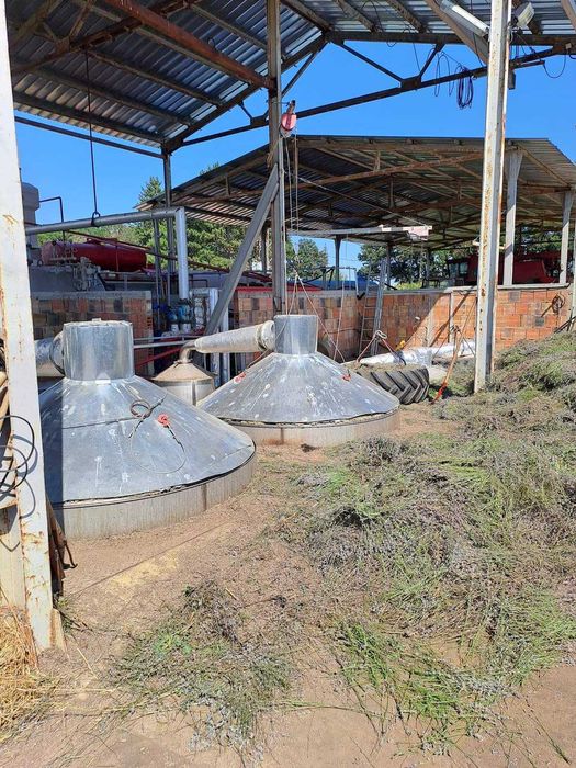 Продава се Промишлена сграда в Добрич, Автогара - 3330 кв.м за 49 €/кв.м - Снимка #9