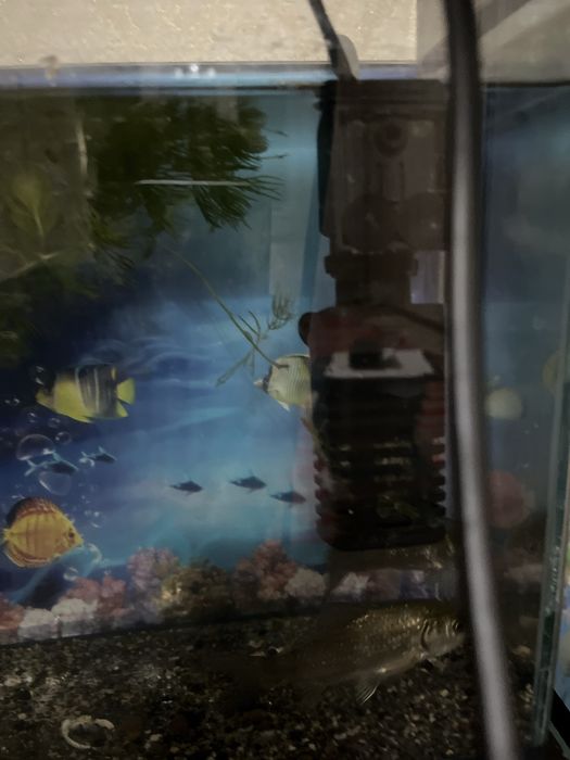 Компрессор для аквариума