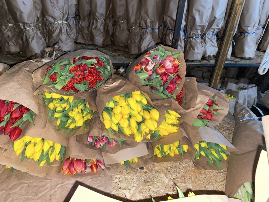 Букет Тюльпанов!!!