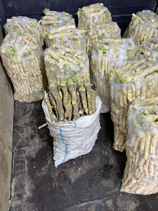 Hrea proaspat SPALAT & NE’SPALAT