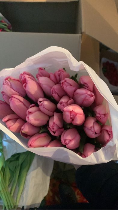 Тюльпаны, подарок к 8 марта