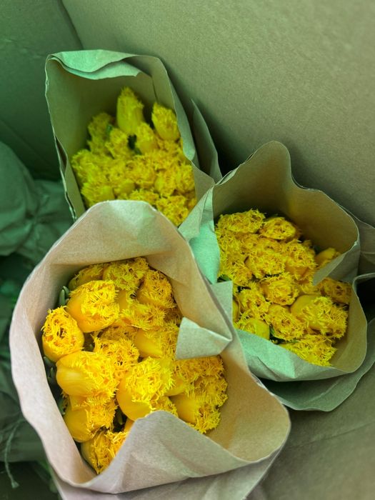 Тюльпаны оптом и в розницу