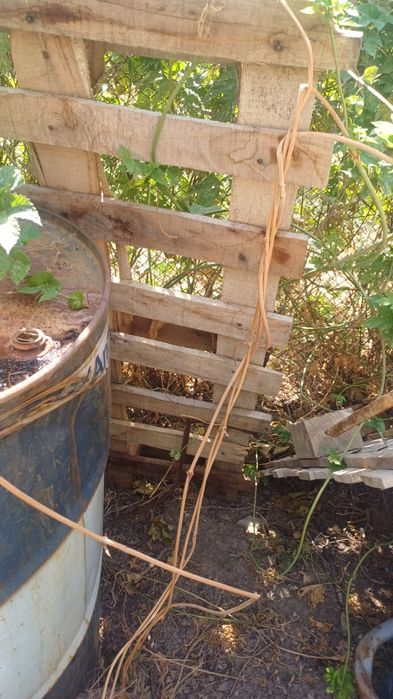 Поддоны ,палеты  осталось 8 штук