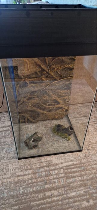 Продам террариум