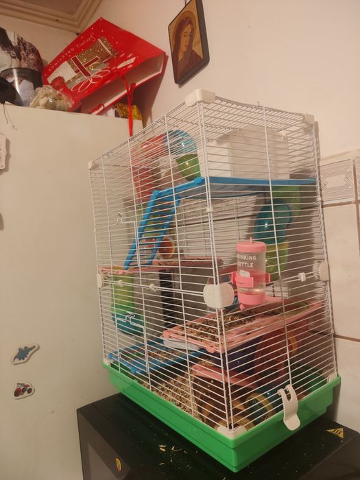 Vând hamster pitic cu tot cu cușcă  200 lei