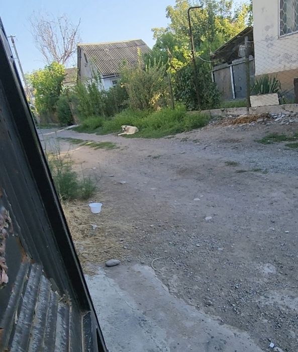 Куйи чирчик туманида дача